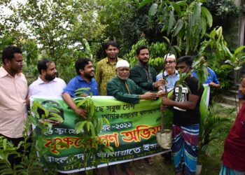 Jamaat Dhaka City South inaugurated tree plantation programme Dhaka needs to be turned into green city to maintain balance of nature: Nurul Islam Bulbul