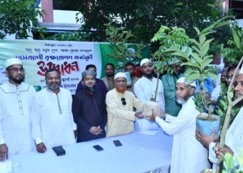 রাজধানীতে ১০ লাখ গাছ রোপণ করার কর্মসূচি গ্রহণ ঢাকা মহানগরী দক্ষিণ জামায়াতের