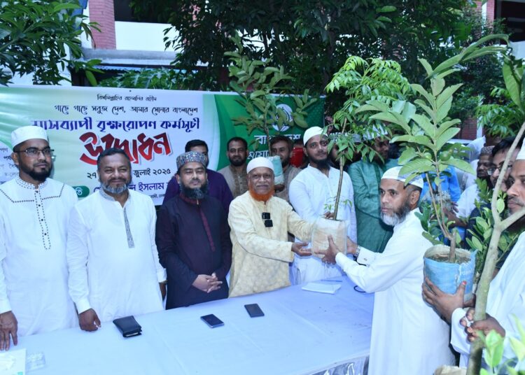 রাজধানীতে ১০ লাখ গাছ রোপণ করার কর্মসূচি গ্রহণ ঢাকা মহানগরী দক্ষিণ জামায়াতের